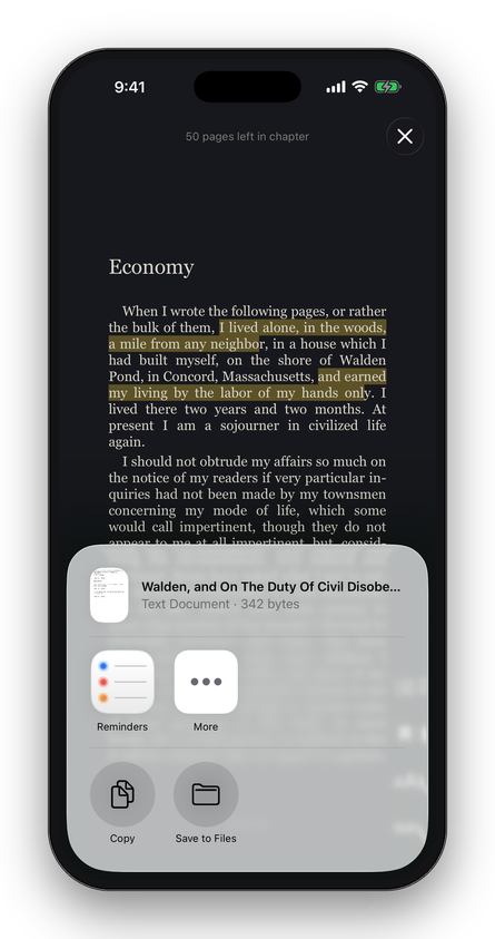 A highlighted passage in the Night theme