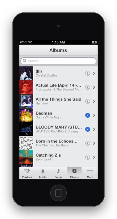 Mynah on the iPod touch, the album list